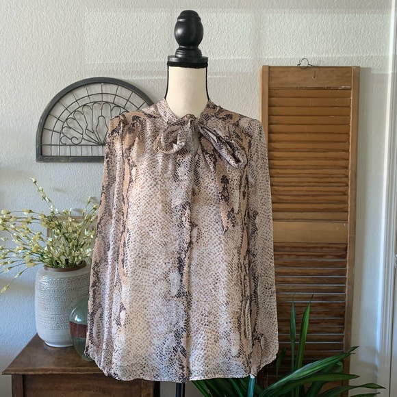 Daniel Rainn Blouse - Picture 3 of 8